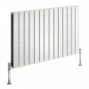 Reina Flat Horizontal Double Panel Designer Radiator - RAL Colour Options -Radiators Shop Flat Horizontal Double RAL P
