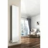 Reina Flat Vertical Double Panel Designer Radiator - RAL Colour Options -Radiators Shop Reina Flat Vertical Double Panel P
