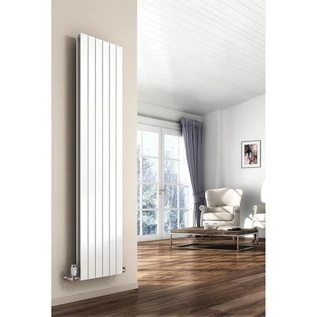 Reina Flat Vertical Double Panel Designer Radiator - RAL Colour Options 3 Reina Flat Vertical Double Panel Designer Radiator - RAL Colour Options
